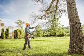 Leaf Removal in Clinton, WI